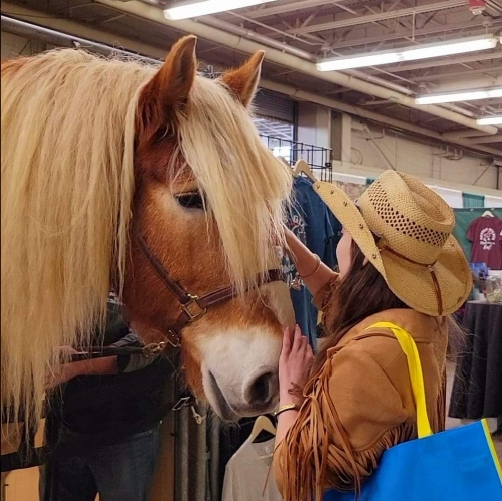 Meet your Posher, Rachel